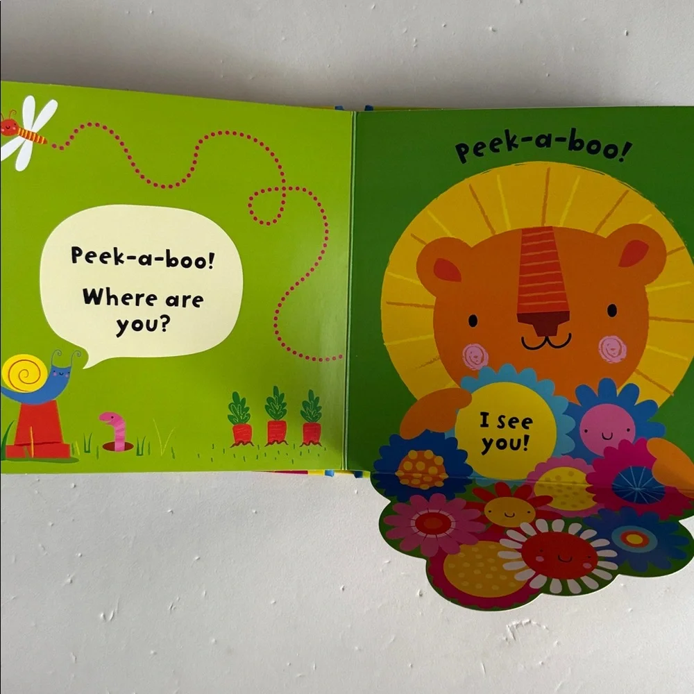 Usborne Baby’s Very First Life-the-Flap Peek-a-Boo Children’s Book